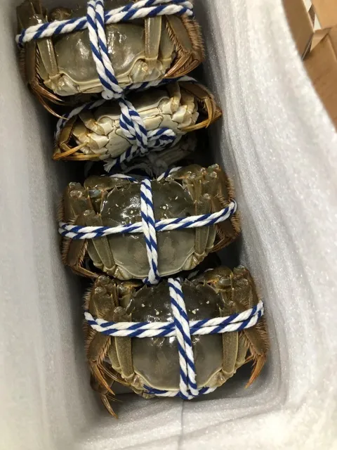 Houston Katy Crab Emergency Mobilization 