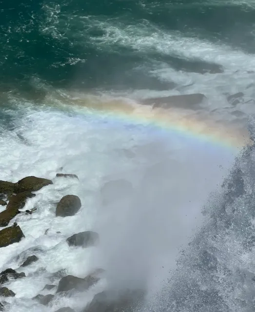 Where Nature’s Roar Becomes Your Therapy