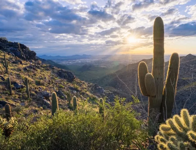 ​​Arizona’s Scottsdale: Where Desert Luxury Meets Artistic Soul 🌵✨​​