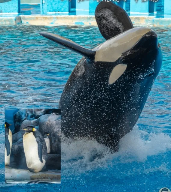 One-Day Itinerary in Nagoya (1)🌟