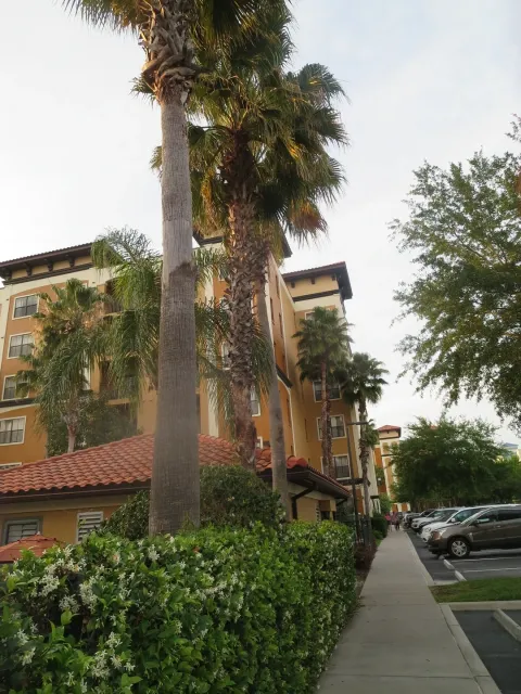 A Truly Wonderful Stay with Exceptionally Attentive Staff! ✨🤗