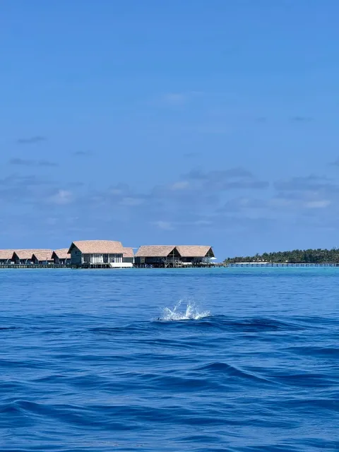 🇲🇻 Maldives on a Budget: Maafushi 2-Night Trip for Just ¥632!