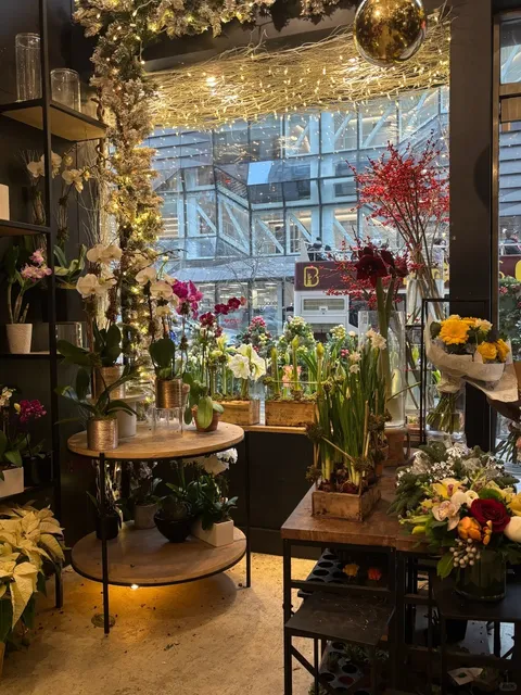 New York Coffee Exploration: Winter Garden 🌸