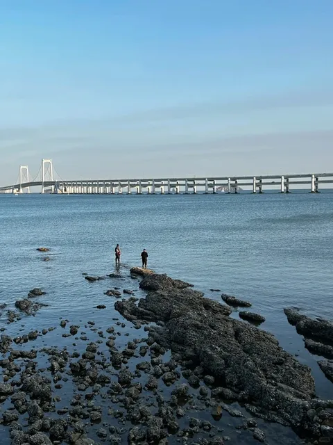 🌴 Miami's Must-Visit Beaches 🏖️ | Insta-Worthy Spots 📸