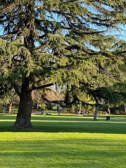 🇦🇺 Tasmania | Day 5 Launceston