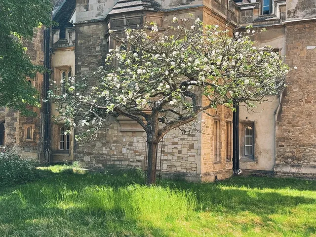 🇬🇧 Cambridge: Where Time Stands Still ✨