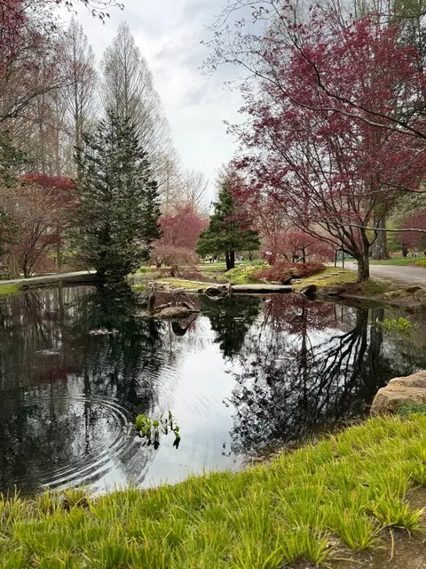 🇺🇸 Where I Took My Parents in Atlanta!