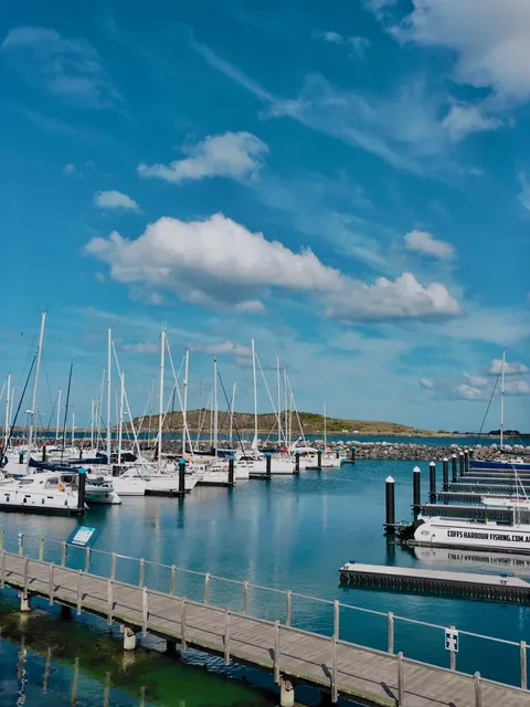 🇦🇺｜Coffs Harbour Coastal Adventure！🐋🌊