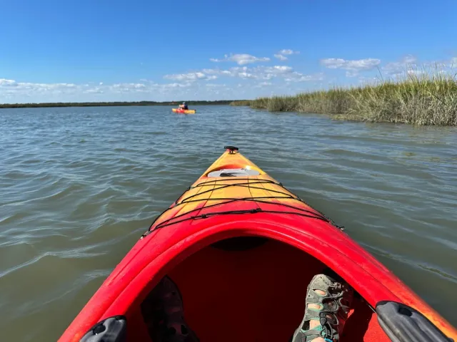 A Perfect Day of Adventure! 🌊🐚
