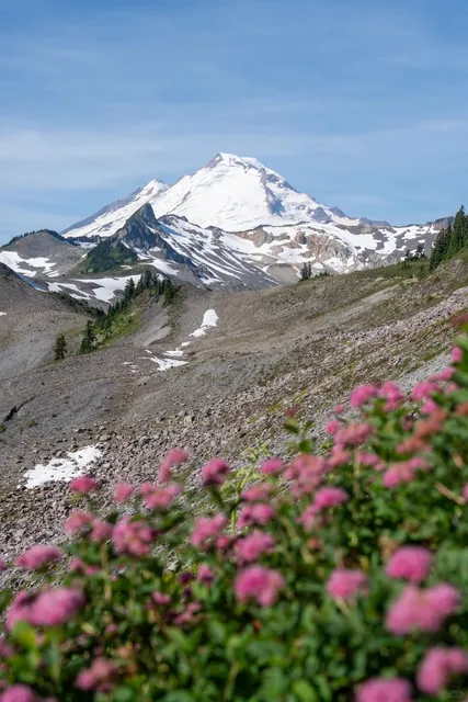 Wildflower Hike to Mount Baker's Glaciers 🌸🏔️  