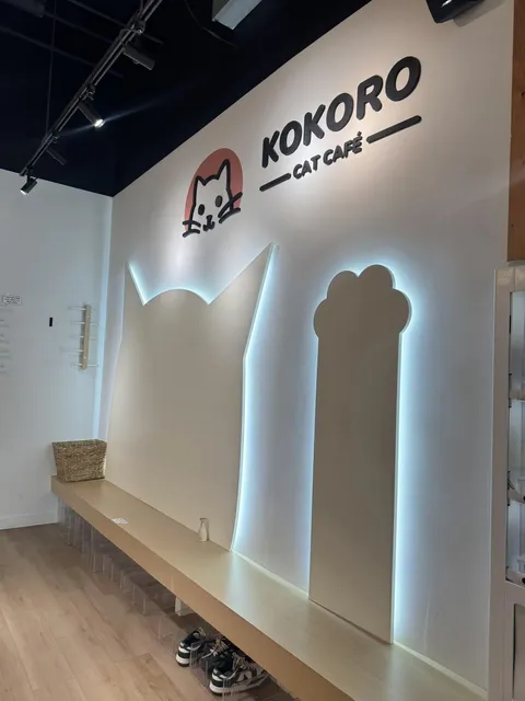 Flushing Hidden Gem Cat Café | KOKORO CAT CAFÉ | 40 Minutes