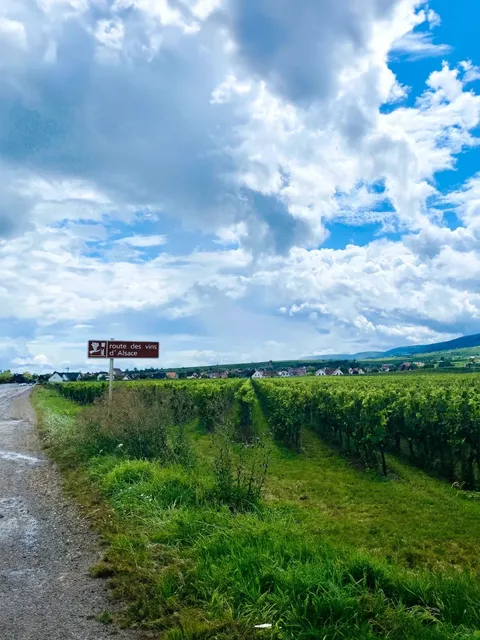 🟡  Eguisheim | A Light and Lively Town of Flowers and Wine ✨