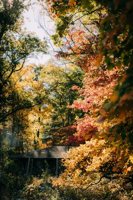 🍁 Big Bear Mountain View | Bear Mountain 🏔️