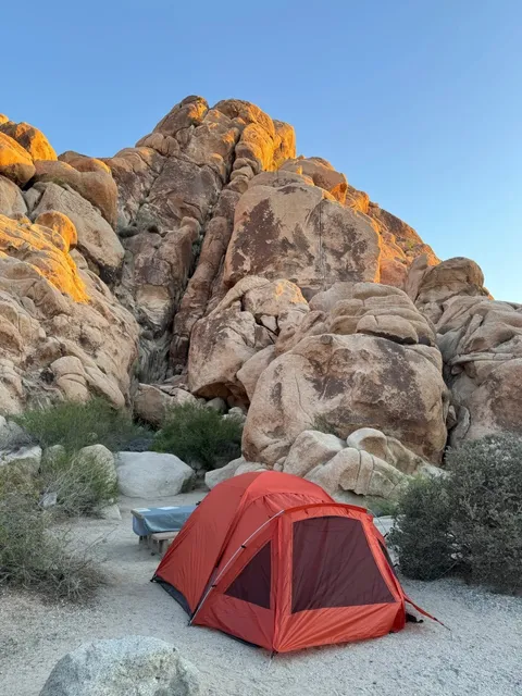 Joshua Tree National Park ⛺️ How to Choose a Campsite?