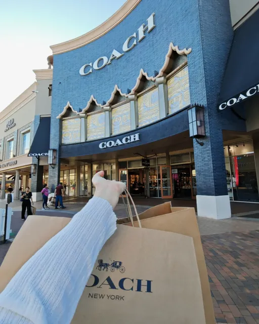 🛍️ [LA Citadel Outlet Haul] Coach Shopping Spree Alert!