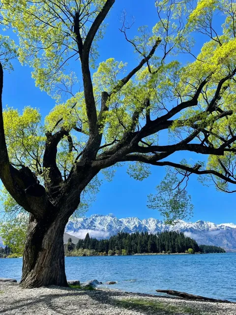 ✨Chasing Mountains & Seas in New Zealand 