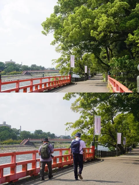 Kyoto Uji Citywalk 🌸