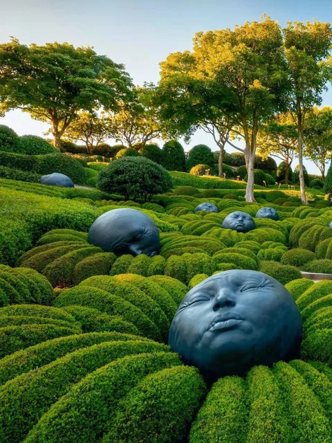 French Black-Faced Garden 🌚