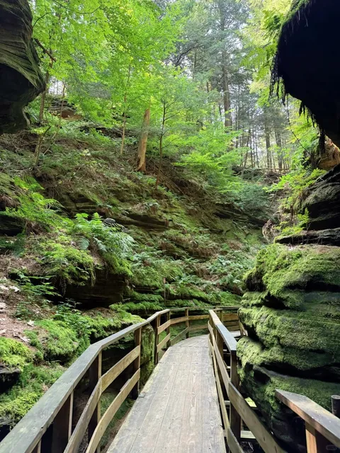  Madison/Chicago Summer Escape: Green Getaway in Wisconsin Dells