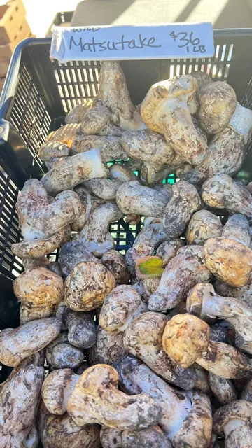 🇺🇸 Sunday Farmers Market in Salt Lake City 