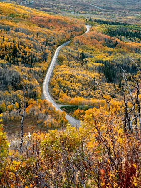 Colorado’s Golden Autumn: A Must-See Fall Foliage Guide 🍂🏔️