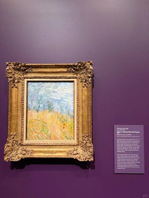 Denver | Weekend Stroll ☕️