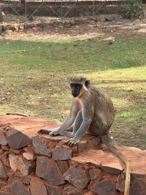 🇸🇳 Senegal Adventure: 6-Day Itinerary in Vibrant Dakar! 🌍✨