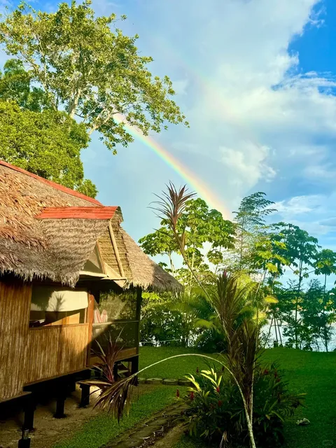 Peru|Amazon Rainforest