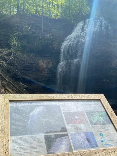 ​​A Free Escape From Reality 🌿💦​​