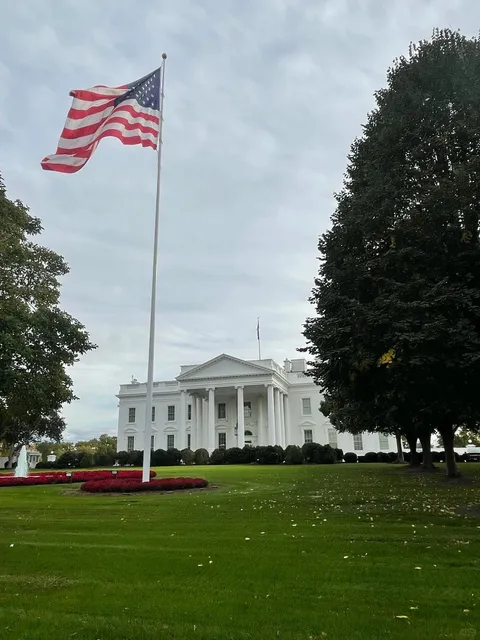 Washington D.C.: An Urban Oasis of Order and Grandeur 🌳✨
