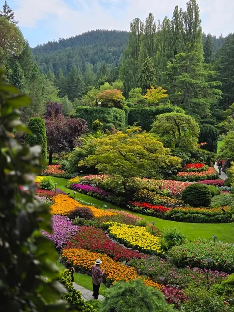The Perfect Summer Day: Butchart Gardens + Afternoon Tea 🌸✨