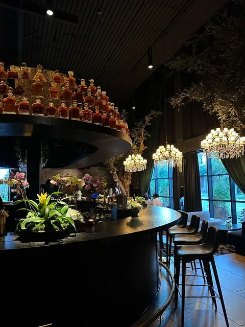 Houston‘s Most Stunning Bar Sanctuary