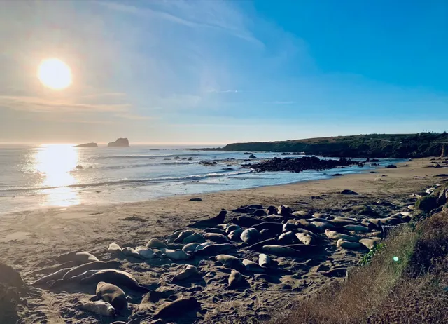 Travel  recommendation：  station 13——Big Sur Coastline