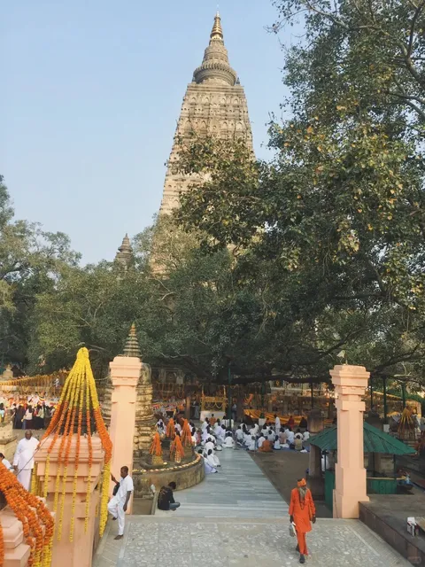 India: The Most Magical Country I've Ever Visited 