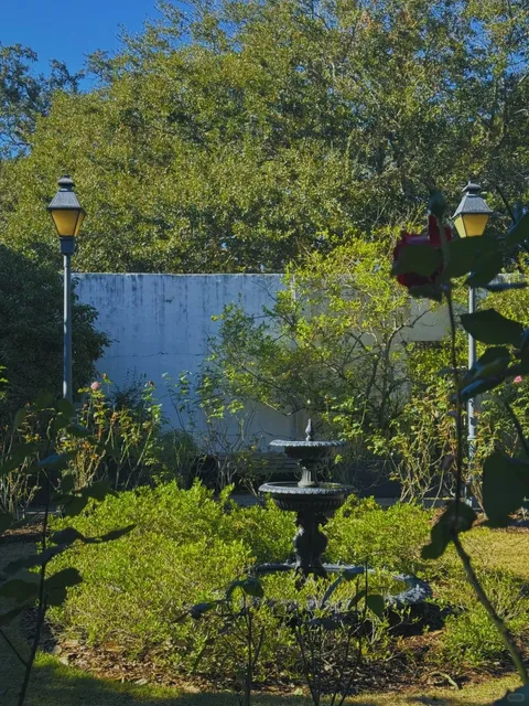 A Solo 36-Hour Stroll in Savannah 🌆  