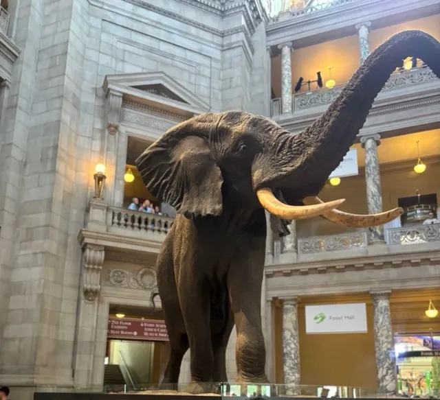  Highly Recommended – With Tips Included!  