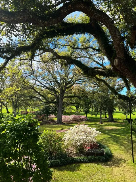 Travel Notes: New Orleans · Attractions Edition