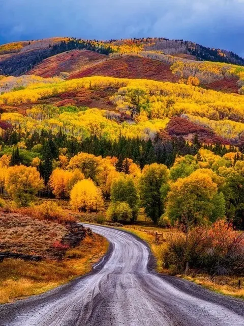 🍂 Aspen's Breathtaking Fall Foliage