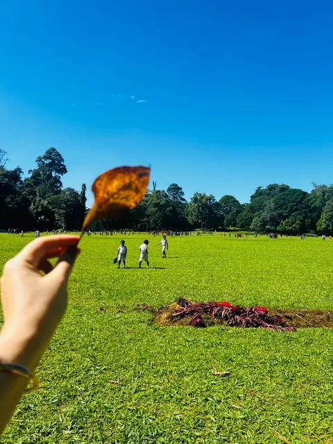 Sri Lanka trip feeling