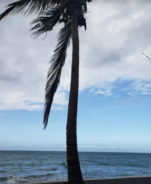 San Juan's UVVA: Heartwarming Service and Stunning Terrace!