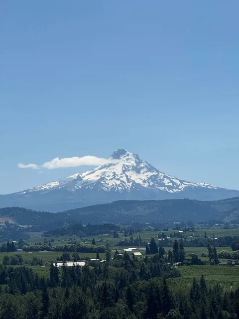 Why Miss Portland in July! (With Guide) 🌞