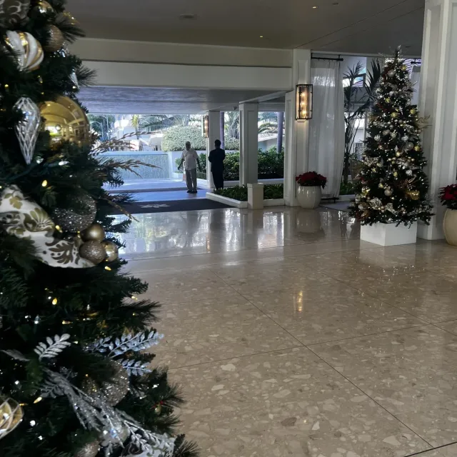 The Best Experience So Far! 🌟