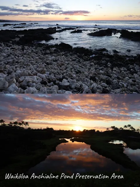 🌋 Big Island, Hawaii - 7-Day Family Itinerary (16 Must-See Spots!) 