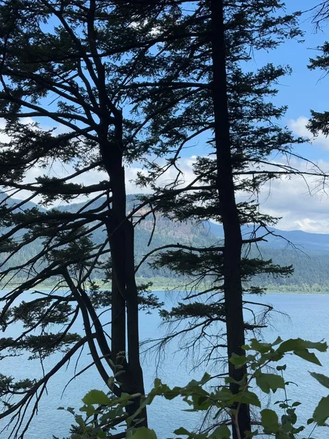 Why Did I Wait So Long to Visit Portland? (Car-Free Edition) 🚆