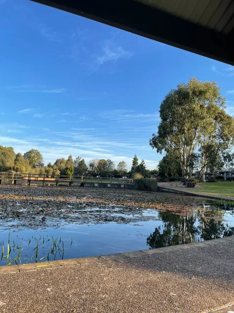 Falling for Toowoomba's Quiet Charm 💭