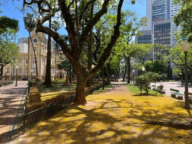 🇧🇷 Is Curitiba & Porto Alegre Brazil’s Safest Gems? 🌿✨