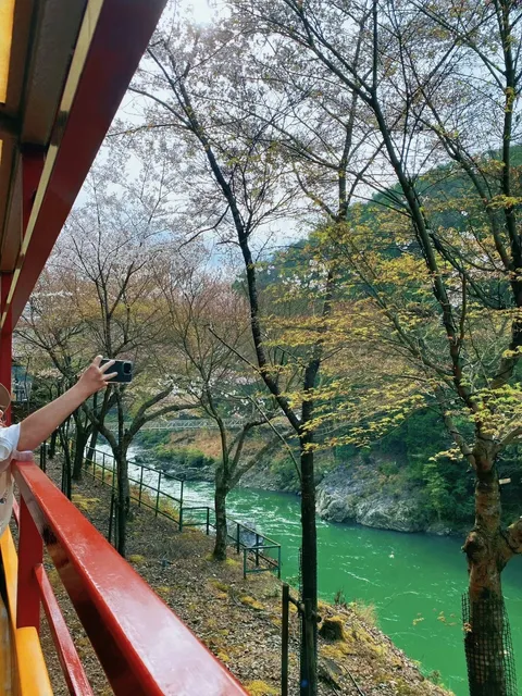 Cherry Blossom Season 🌸 A Day Trip to Arashiyama in Kyoto (2)