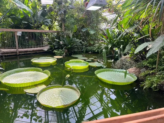 🇩🇪 Münster Bike Tour: Pedaling Through History & Gardens