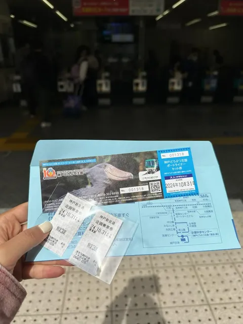 🦜 Kobe Animal Kingdom: A Detailed Guide to a Must-Visit in Kansai