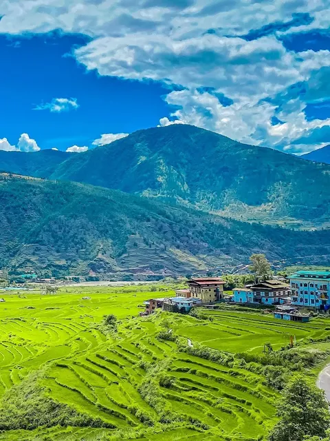 Escape the Hustle and Bustle, Embrace Bhutan's Wizard of Oz-like Green